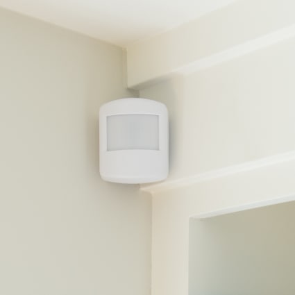 Rochester motion sensor